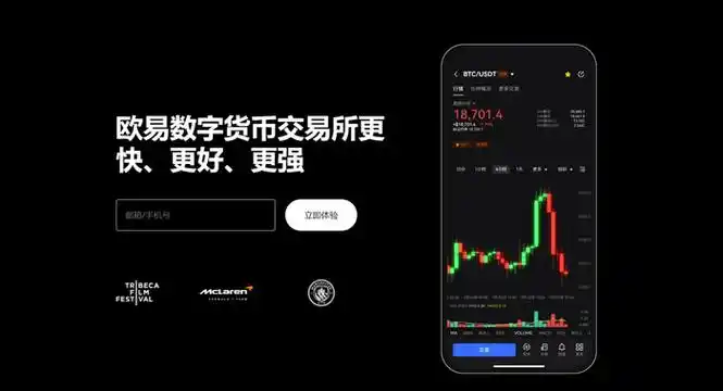 OKPay钱包下载平台展示图